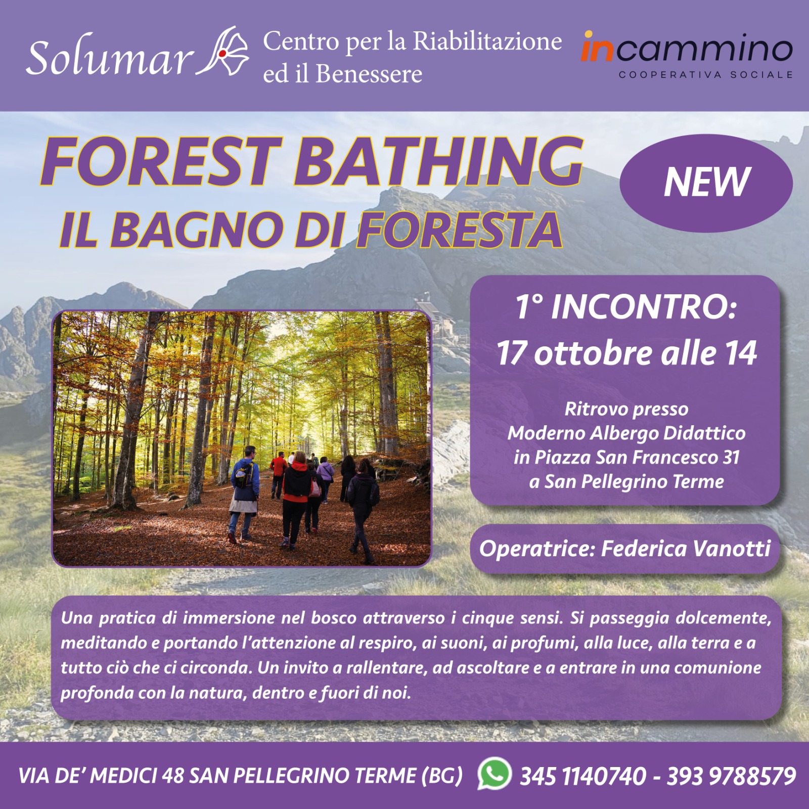 Locandina dell’evento FOREST BATHING - BAGNO DI FORESTA